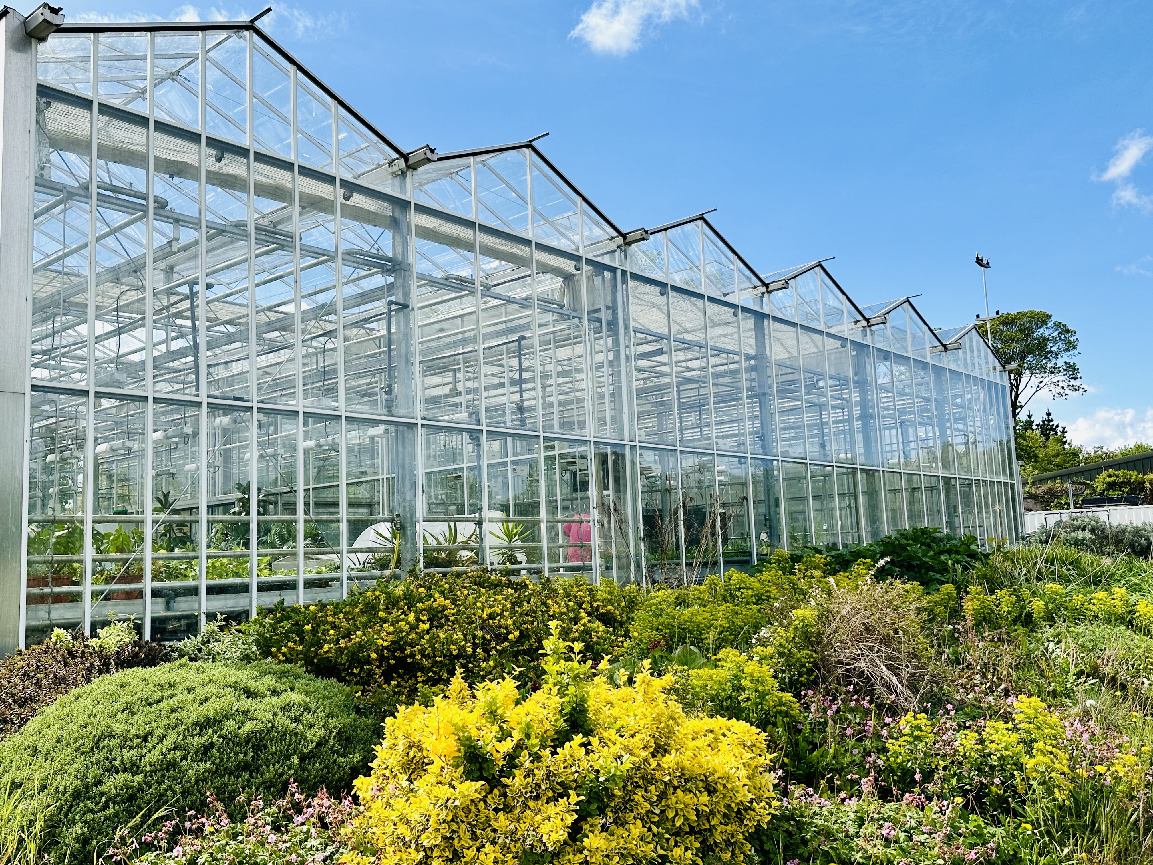 Exciting position now open welcoming applications for an academic post in Horticulture. 