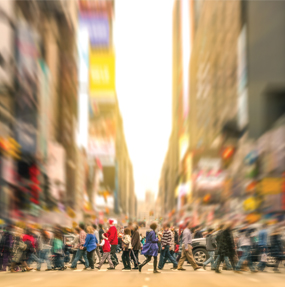 UCD Food and Agribusiness Management