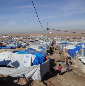 MSc Humanitarian Action