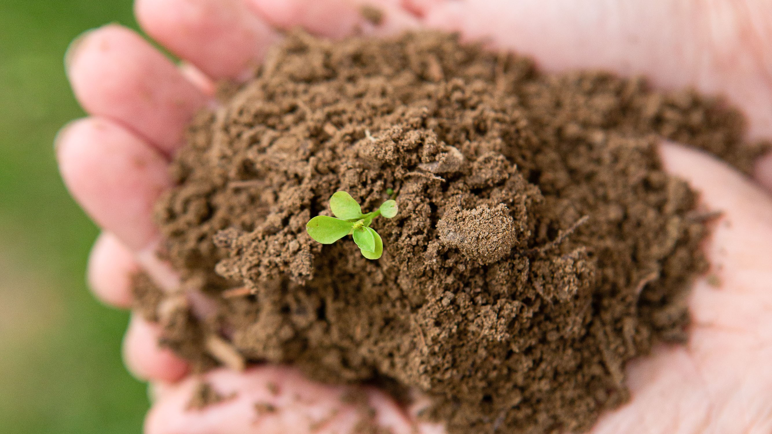 UCD Agri-Environmental Sciences