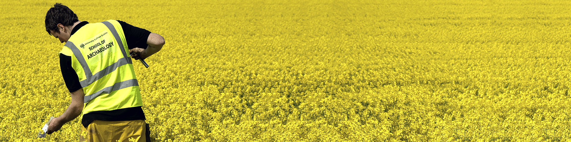 Teaching Support Role Vacancies for Current Graduate Research Students