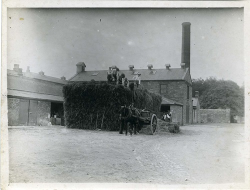 Black and white photograph of horse and cart in front of large haystack with students standing on top and farm buildings in background