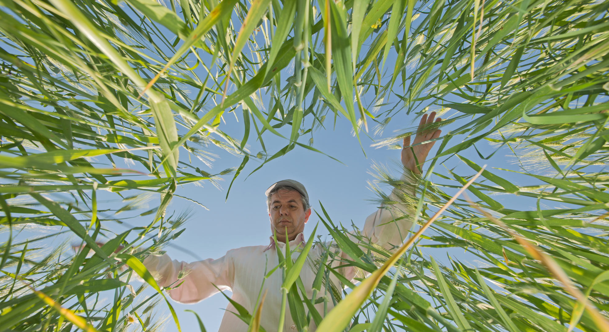 Bioassess Banner Image