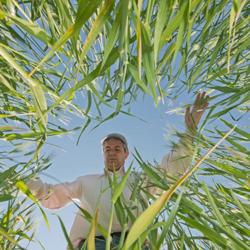 Bioassess Grid Image