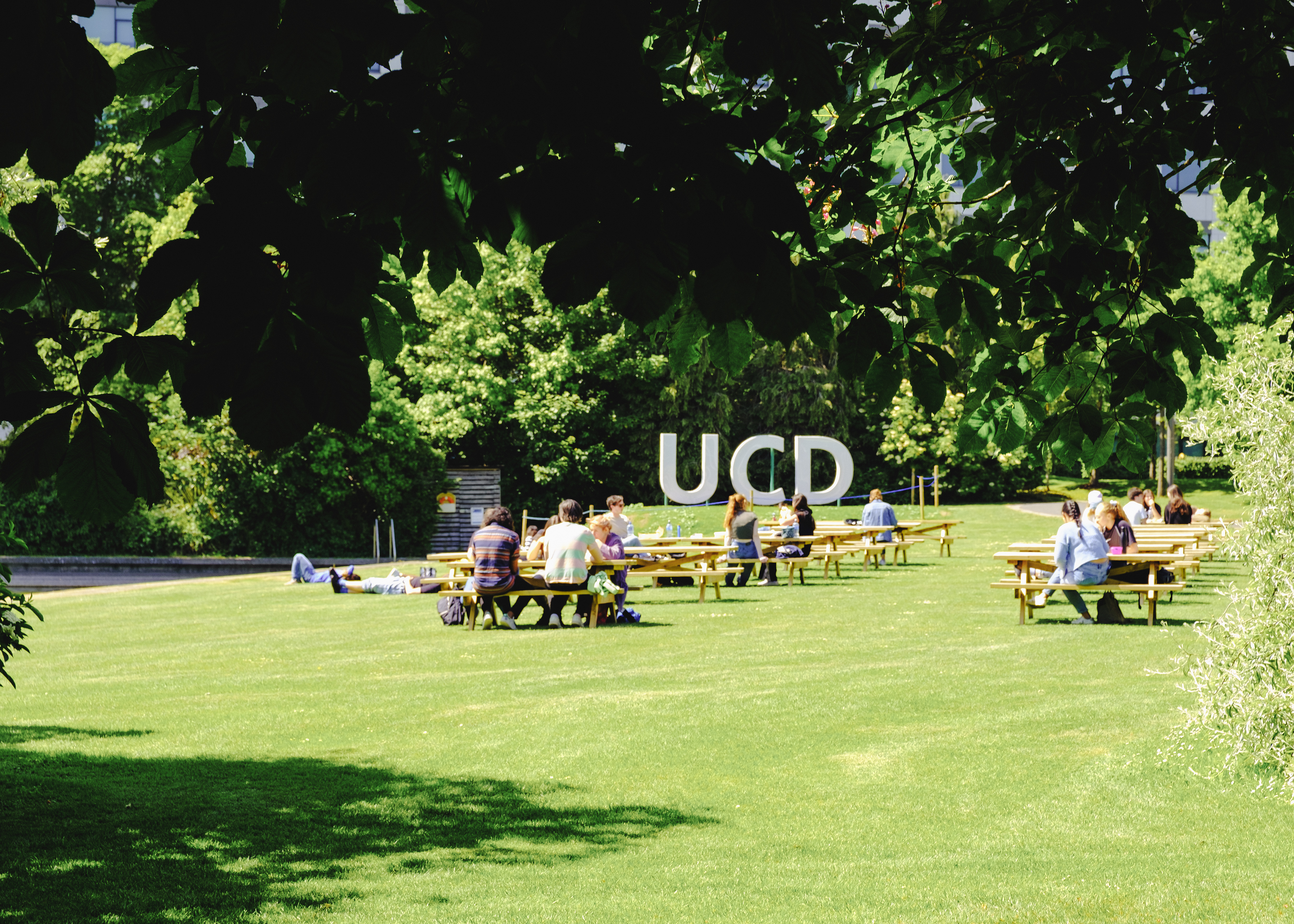 UCD Letters by lake