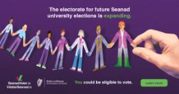 Seanad Éireann poster in English