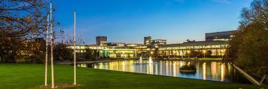 Working Paper Series