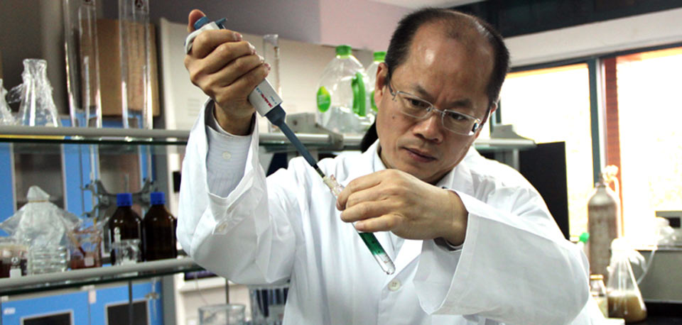 Professor Da-Wen Sun named as Highly Cited Researcher in the 3rd Consecutive Year