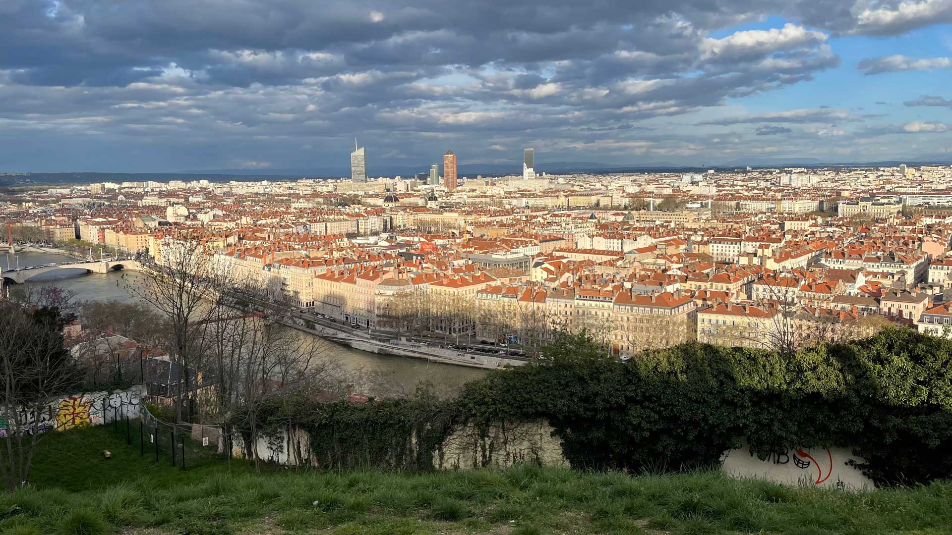 Summer Schools Banner Image