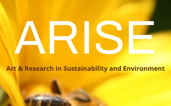 Does working with an artist interest you?