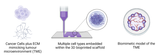 3D bioprinting diagram