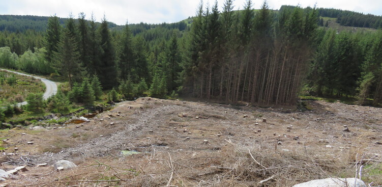 Windrowing at a streamside in Carrigeenduff, Wicklow.