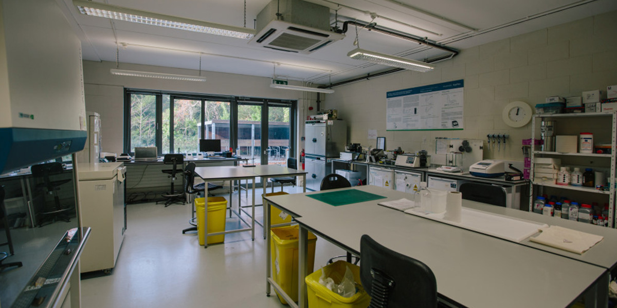 Lab at NovaUCD