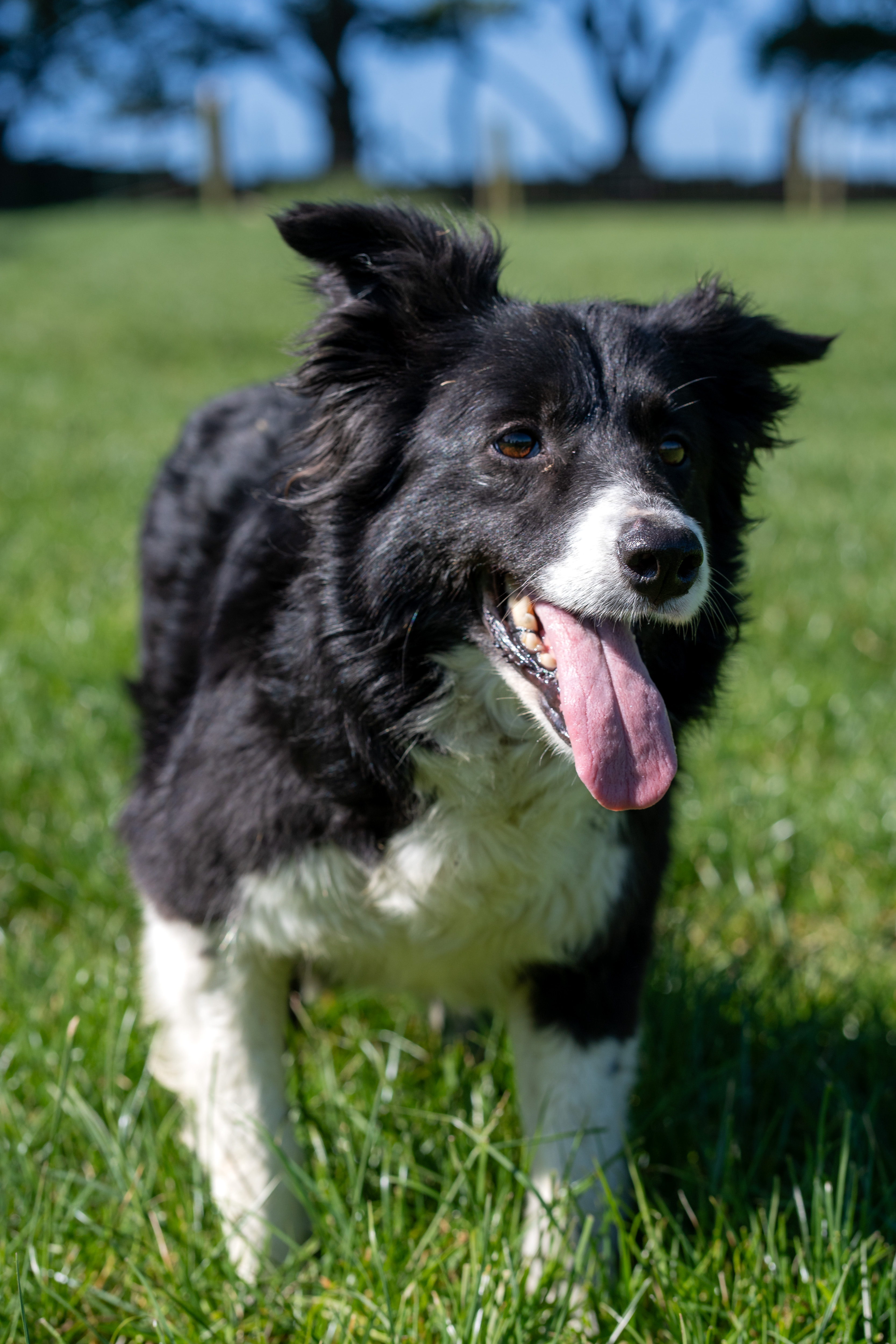 Profile photo of Gwen