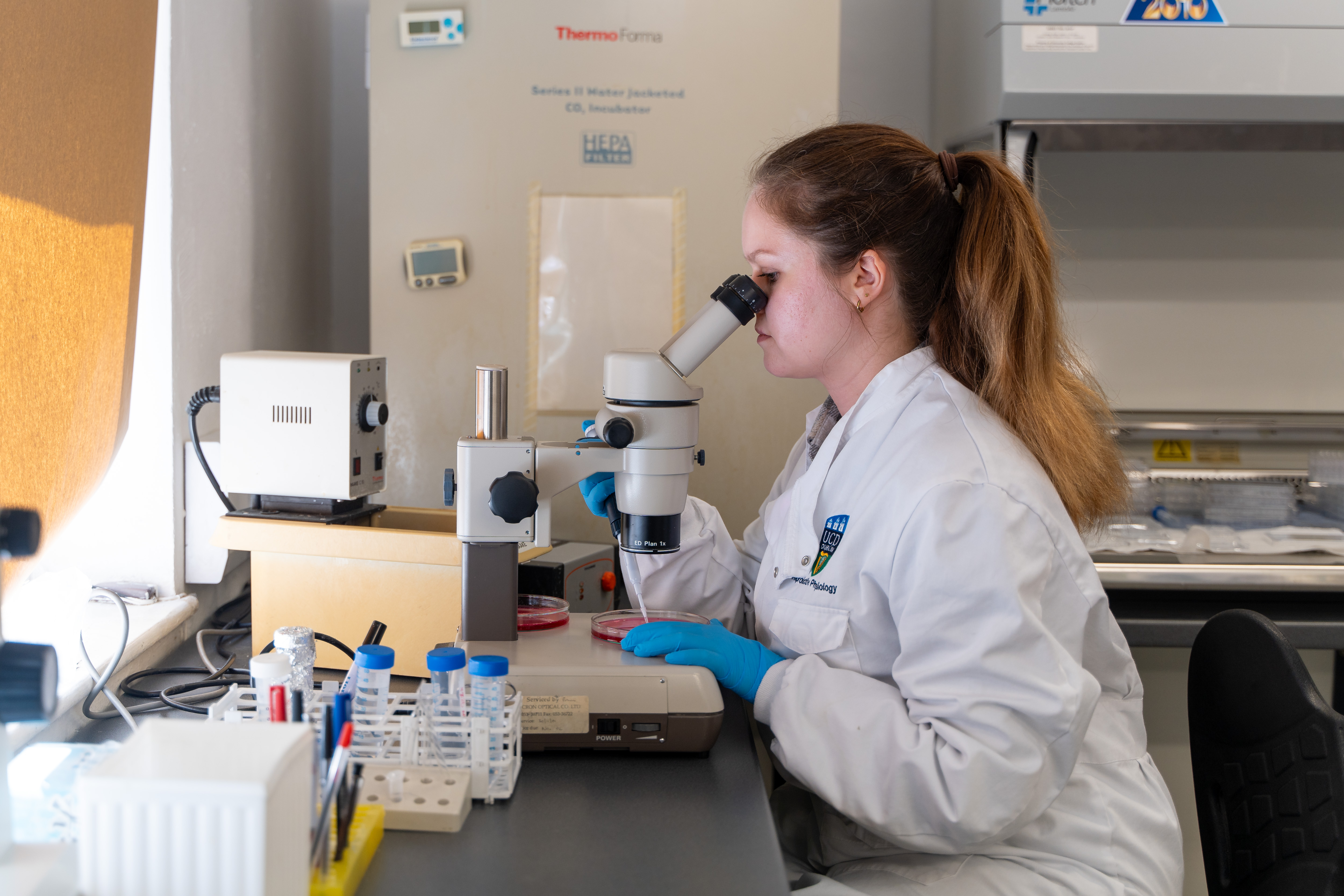 Lyons Farm is a fundamental asset for research in the Schools of Agriculture, Food Science and Veterinary Medicine.