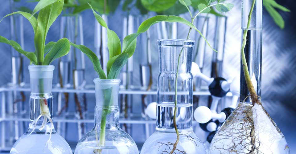 Decorative image for the Research News