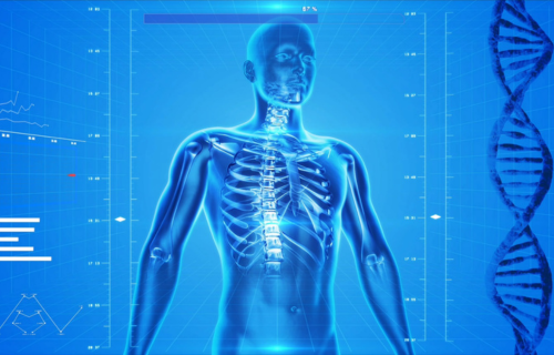 Anatomy Blue Graphic