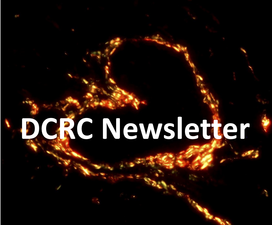DCRC_Newsletter_Preview