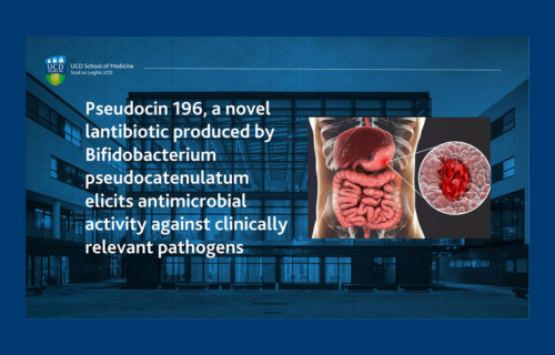 navy blue background, health sciences building, headline text, inside medical image of gut
