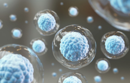 Physiology Microscope Image of Cell