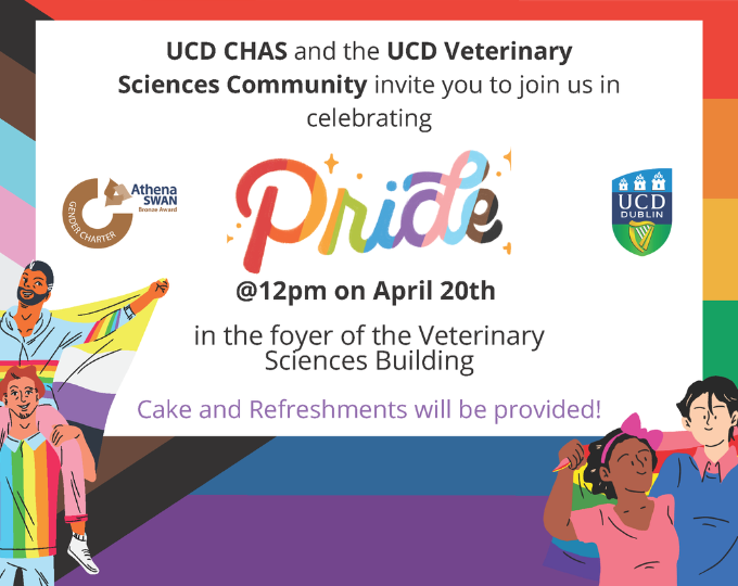 UCD CHAS Pride Events Image
