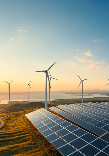 Solar cell in solar farm, Alternative energy and sustainable energy, photovoltaic, Pure energy renewable, clean energy, solar energy, reduce global warming, environment, green energy, generate by .AI