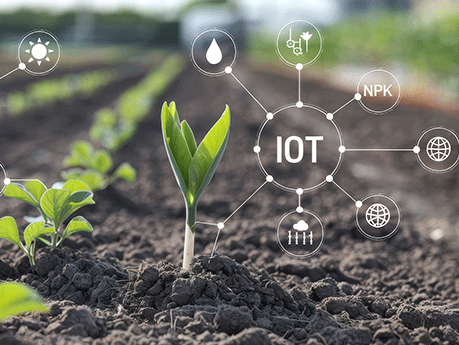 IoT technology enhancing plant growth in agriculture