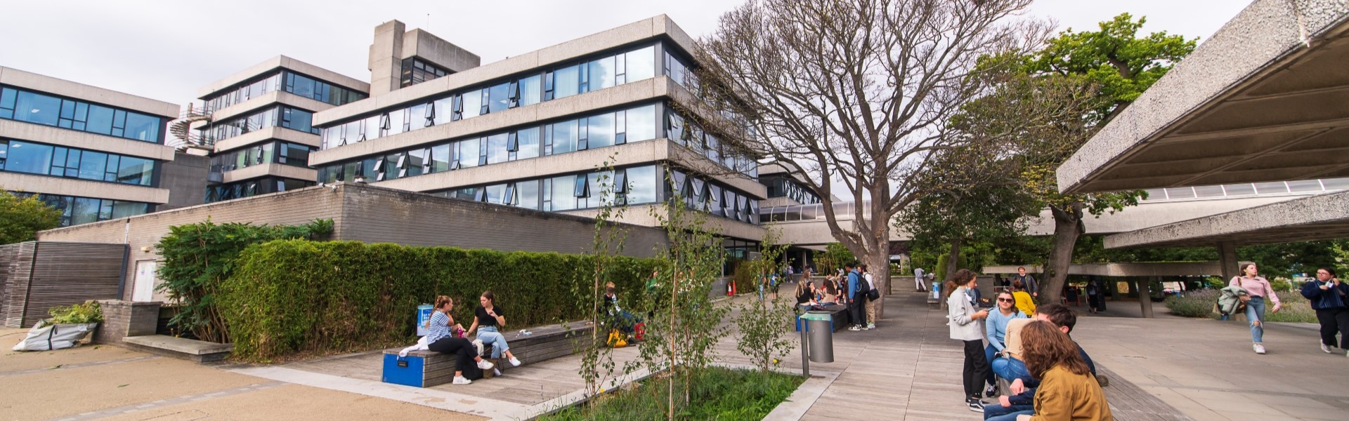 MMus Music and Culture - Online Information Session