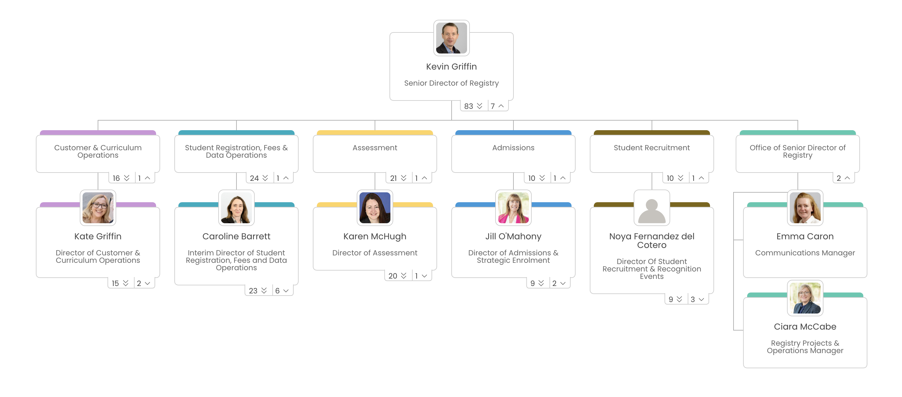 Registry Management Team Structure