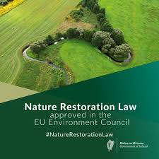 The Irish government has named Dr Aoibhinn N&iacute; Sh&uacute;illeabh&aacute;in Chair of the Independent Advisory Committee (IAC) on Nature Restoration. The six-member committee also includes Prof Tasman Crowe, VP for Sustainability at UCD.