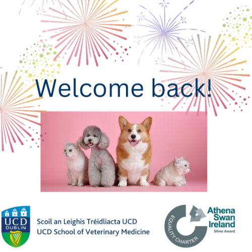 welcome back poster on white with image of two dogs and two cats and colourful fireworks. UCD School of Veterinary medicine logo and Silver Athena swan award logo